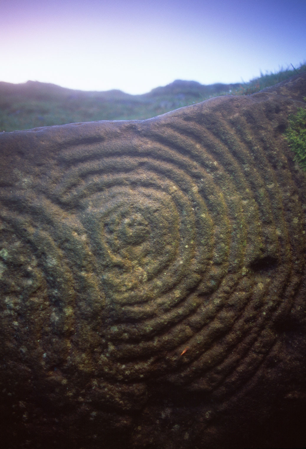 One of several roofless tombs on Sliabh na Cailleach, Hill of the Witch in Co. Meath, possibly representing a deity, or some derived representation of Lilith, the raptor goddess of death who defleshed bodies before burial or cremation.